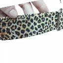 1000010274.webp