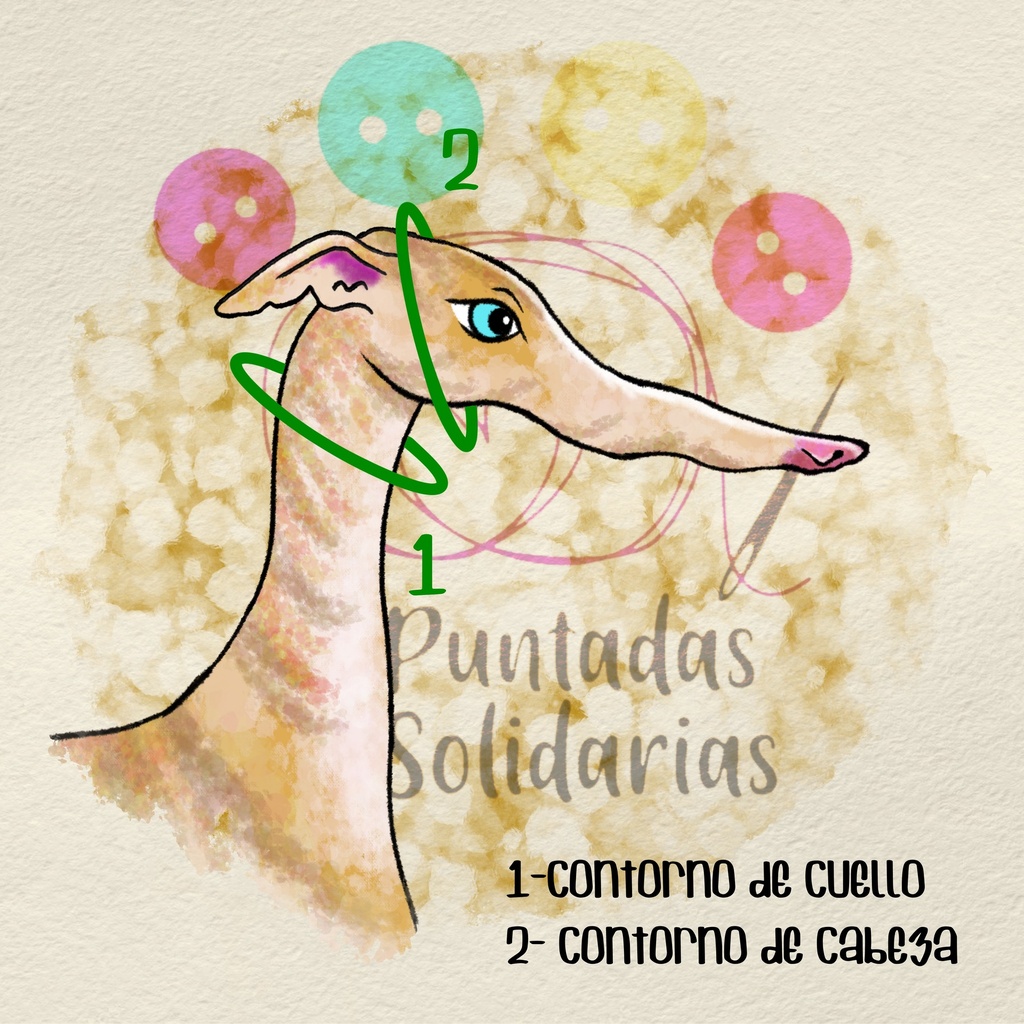 Collar Martingale cosmos personalizado