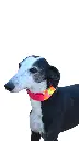 1000013415.webp