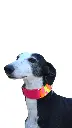 1000013416.webp