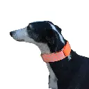 1000013855.webp
