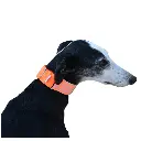 1000013854.webp