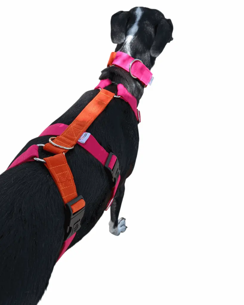 Photoroom-20250820_123429_5.webp