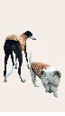 1000016524.webp
