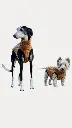 1000016538.webp