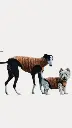 1000016539.webp