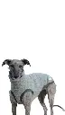 1000016721.webp