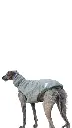 1000016691.webp