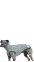 1000016707.webp