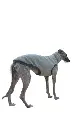 1000016724.webp