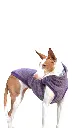 1000016709.webp
