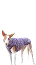 1000016719.webp