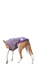 1000016694.webp