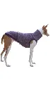 1000016692.webp