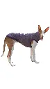 1000016705.webp