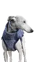 1000016725.webp
