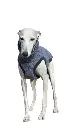 1000016720.webp