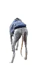 1000016723.webp
