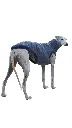 1000016704.webp
