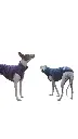 1000016701.webp