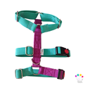 Arnes 3 puntos Colors 