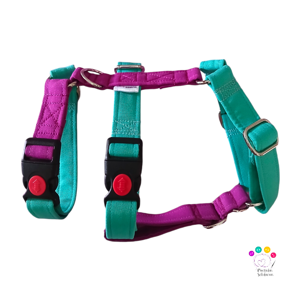 Arnes 3 puntos Colors 