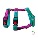 Arnes 3 puntos Colors 