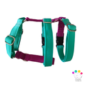Arnes 3 puntos Colors 