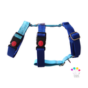 Arnes 3 puntos colors azul