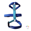 Arnes 3 puntos colors azul