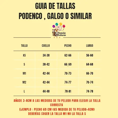 Screenshot_20260126_172505_Canva (1) (1).webp