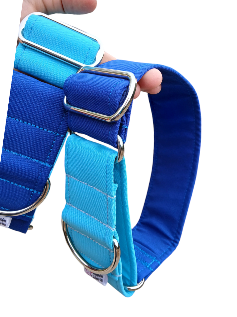 Collar martingale colors azul