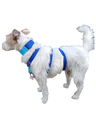 Collar martingale colors azul