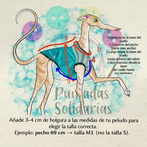 file_00000000af8471f7b125d814a141899d~2.webp