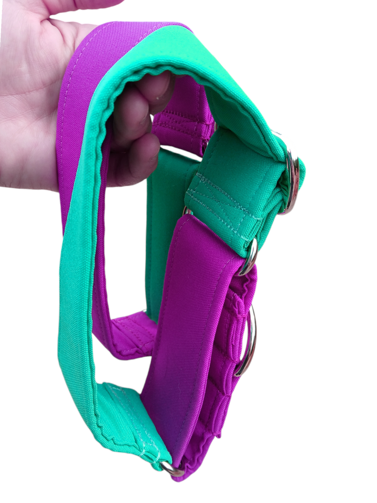 Collar martingale colors verde/ ciclamen 