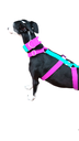 Collar martingale colors verde/ ciclamen 