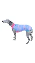 Photoroom-20250628_101200_5.webp