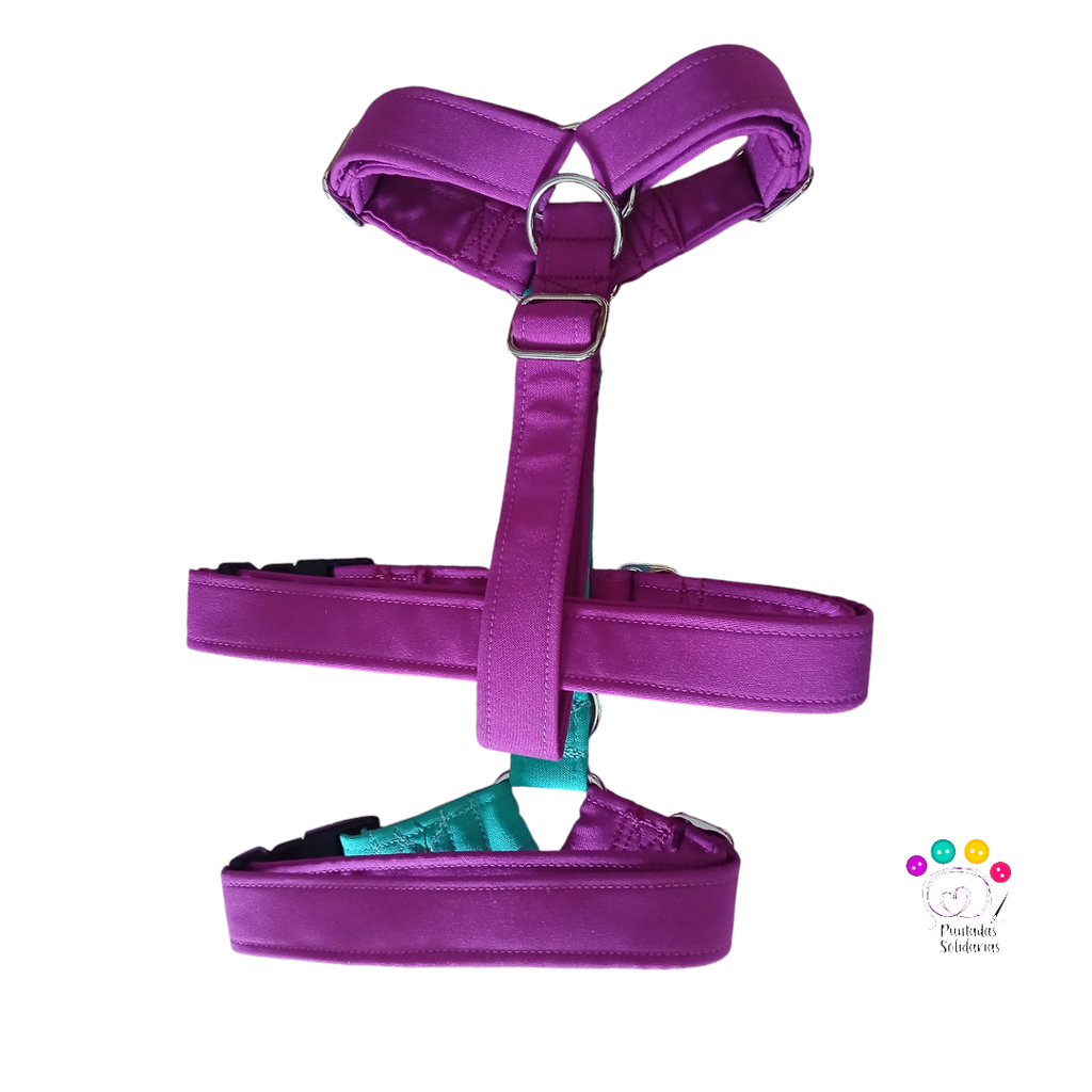 Arnes 3 puntos  Colors