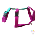 Arnes 3 puntos  Colors