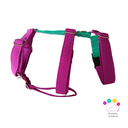 Arnes 3 puntos  Colors