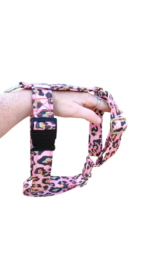 Arnés 3 puntos a medida (elige la tela)