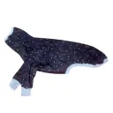 Sudadera/pijama  universo azul