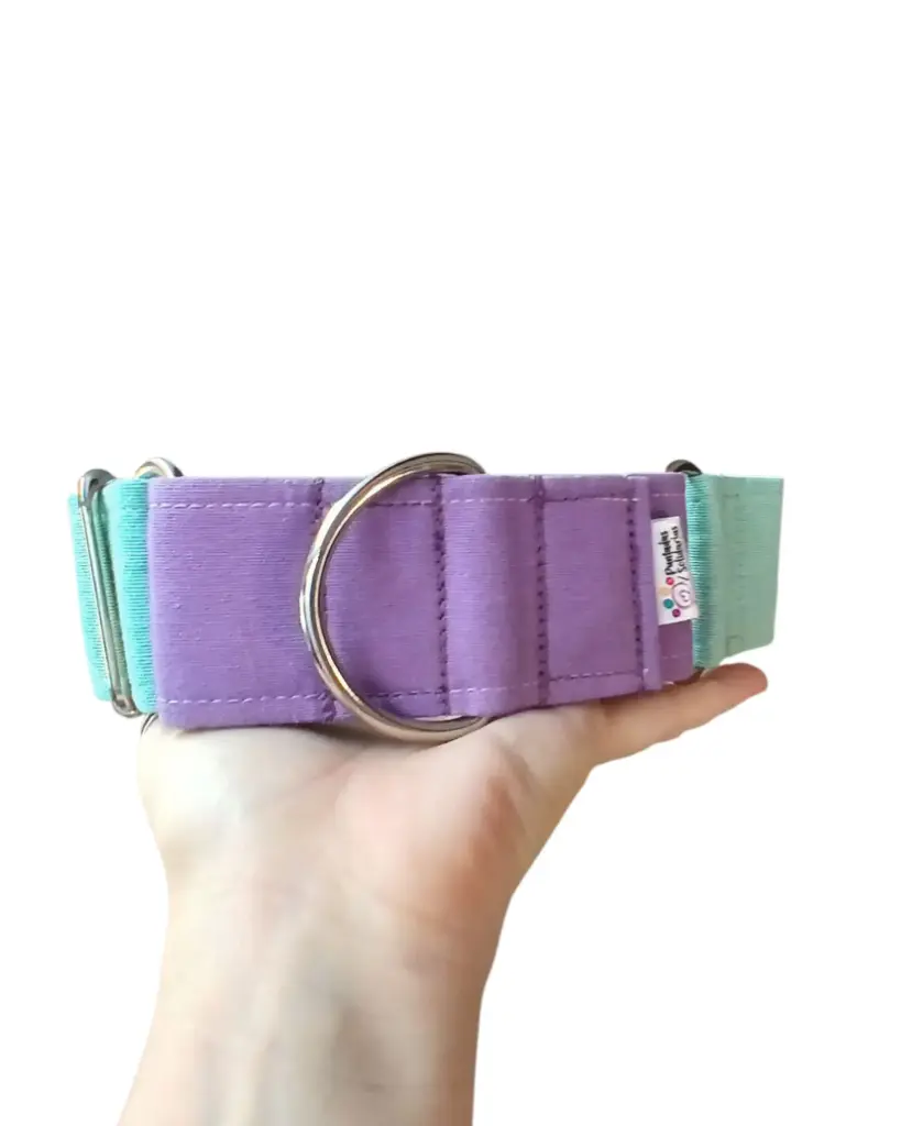 Collar martingale Colors lila/verde agua