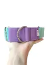 Collar martingale Colors lila/verde agua
