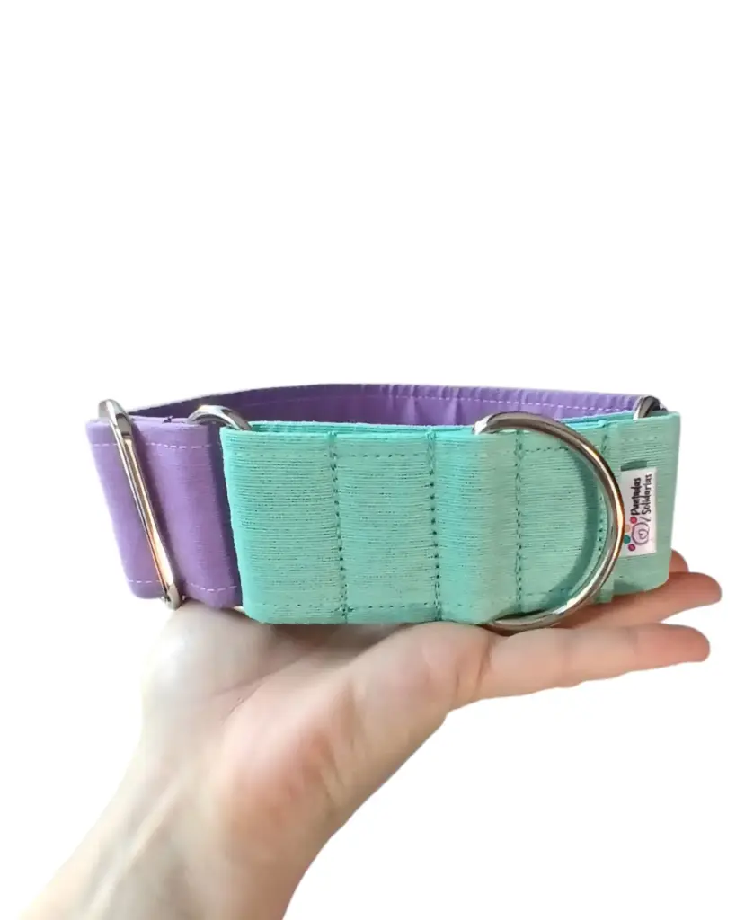 Collar martingale Colors verde agua/lila