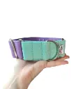 Collar martingale Colors verde agua/lila