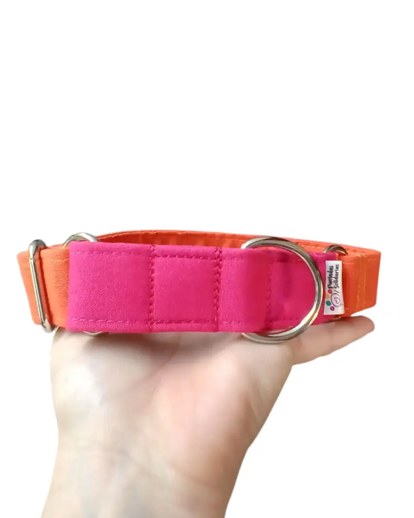 Collar martingale color fucsia/naranja 