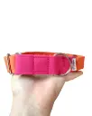 Collar martingale color fucsia/naranja 