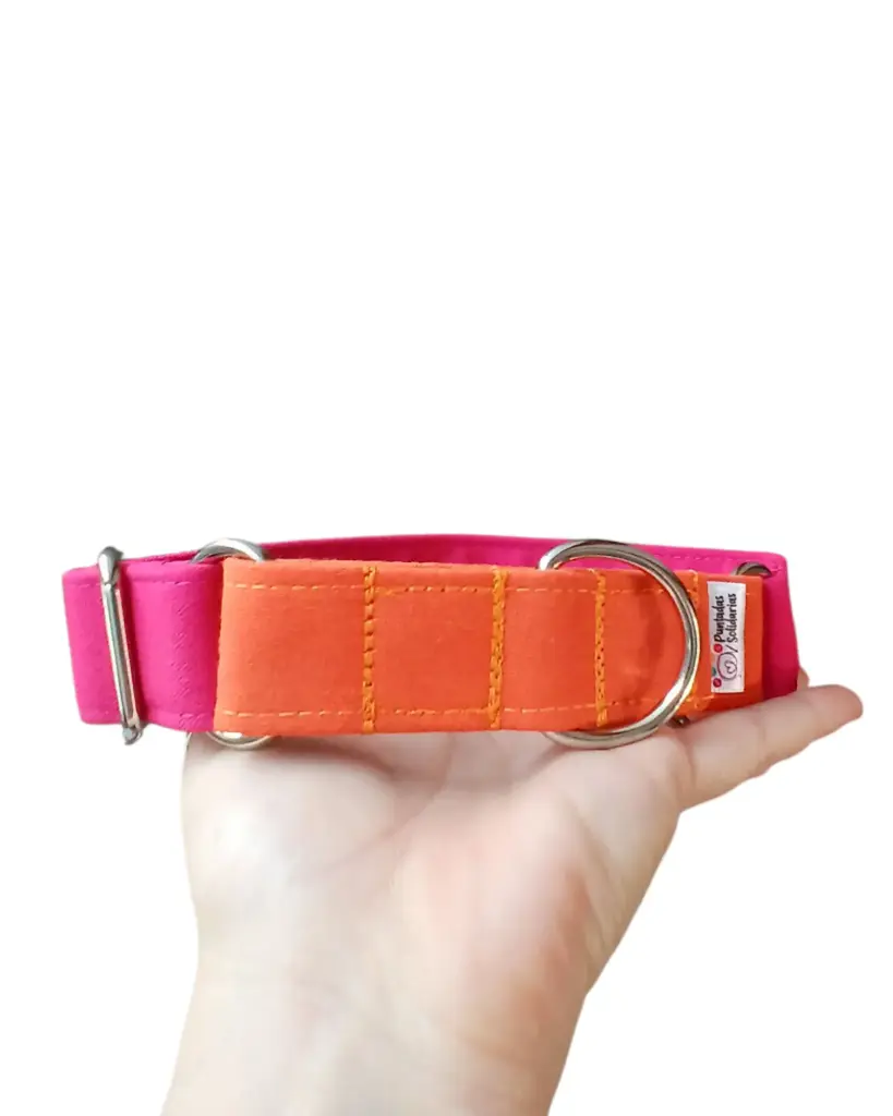 Collar martingale color naranja/fucsia