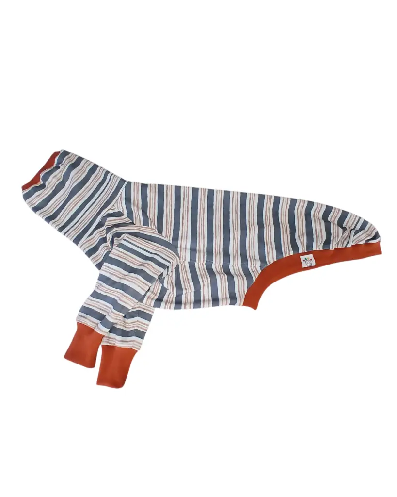 Pijama/sudadera  